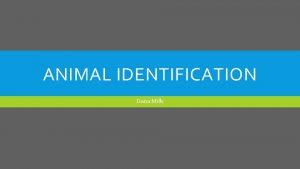 ANIMAL IDENTIFICATION Dana Mills Proper ID is important