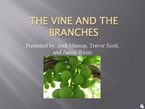 THE VINE AND THE BRANCHES Presented by Josh