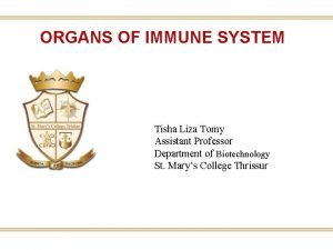 ORGANS OF IMMUNE SYSTEM Tisha Liza Tomy Assistant