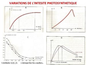 VARIATIONS DE LINTESITE PHOTOSYNTHETIQUE A B C 1