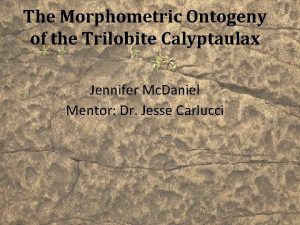 The Morphometric Ontogeny of the Trilobite Calyptaulax Jennifer