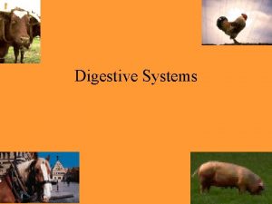 Digestive Systems Digestive Systems Overviews Objectives Describe the