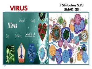 Anatomi virus