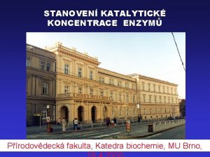 STANOVEN KATALYTICK KONCENTRACE ENZYM Prodovdeck fakulta Katedra biochemie