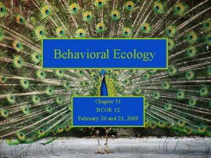 Behavioral ecology definition