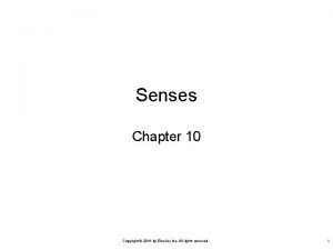 Senses Chapter 10 Copyright 2016 by Elsevier Inc