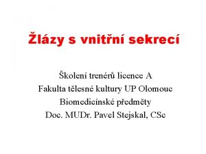 lzy s vnitn sekrec kolen trenr licence A