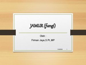 JAMUR fungi Oleh Firman Jaya S Pt MP