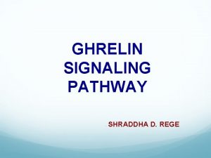 GHRELIN SIGNALING PATHWAY SHRADDHA D REGE Ghrelin u