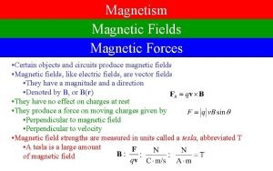 Magnetism Magnetic Fields Magnetic Forces Certain objects and Magnetism Magnetic Fields Magnetic Forces Certain objects and