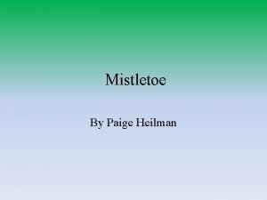 Mistletoe By Paige Heilman Common Information 1300 species