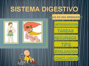Embriologia del sistema gastrointestinal