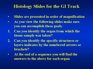 Histology Slides for the GI Track Slides are