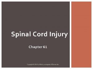 Poikilothermism and spinal cord injury
