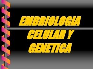 EMBRIOLOGIA CELULAR Y GENETICA MORFOGENESIS Secuencia de eventos