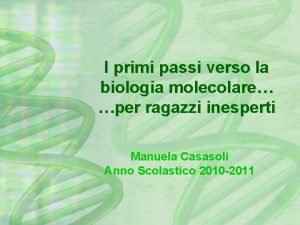 I primi passi verso la biologia molecolare per