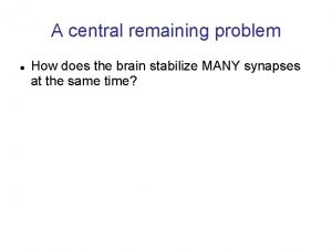 A central remaining problem How does the brain