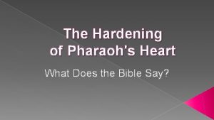 God softened pharaoh's heart