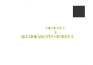 GENETICA E MIGLIORAMENTO GENETICO I caratteri quantitativi ed