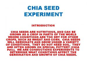 CHIA SEED EXPERIMENT INTRODUCTION CHIA SEEDS ARE NUTRITIOUS