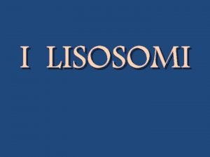 Lysosomal hydrolase