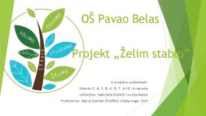 O Pavao Belas Projekt elim stablo U projektu