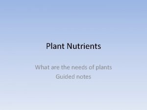 6 macro nutrients