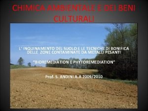 CHIMICA AMBIENTALE E DEI BENI CULTURALI L INQUINAMENTO