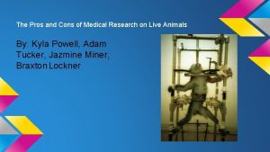 Animal testing for medical research pros and cons Animal testing for medical research pros and cons