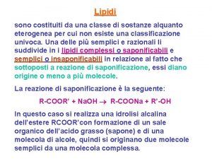 Lipidi sono costituiti da una classe di sostanze