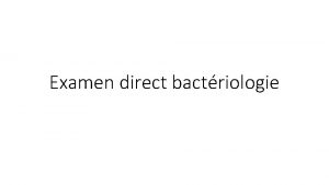 Examen direct bactriologie Lexamen microscopique ou encore examen