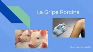 La Gripe Porcina Miguel Carpio y Nicols Mil