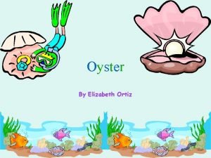 Oyster By Elizabeth Ortiz Scientific Name The scientific
