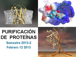 PURIFICACIN DE PROTENAS Semestre 2013 2 Febrero 12