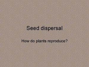 Acorn seed dispersal
