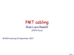 PMT cabling Gian Luca Raselli INFN Pavia WA