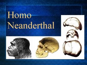 Homo Neanderthal Introduccin El Homo Neanderthal tuvo su
