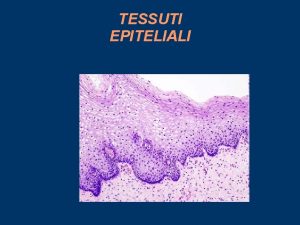Tessuti epiteliali
