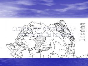 DISTRIBUIA GEOGRAFIC A VEGETAIEI N ROM NIA Aspecte