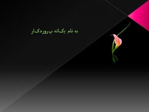 Davood khalili