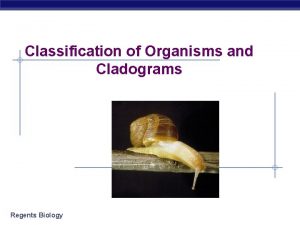 Classification of Organisms and Cladograms Regents Biology The