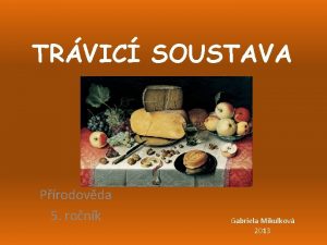 TRVIC SOUSTAVA Prodovda 5 ronk Gabriela Mikulkov 2013