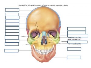 Above Frontal View Legend 1 Mental tubercle 2