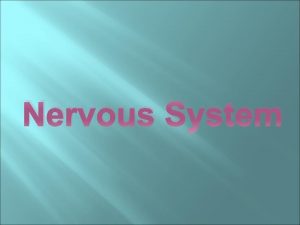 Nervous System NERVOUS SYSTEM Sensory organs receptors capture