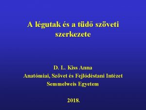 A lgutak s a td szveti szerkezete D