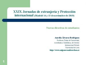 XXIX Jornadas de extranjera y Proteccin internacional Madrid