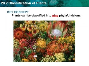 20 2 Classification of Plants KEY CONCEPT Plants