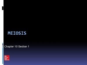 Chapter 10 section 1: meiosis