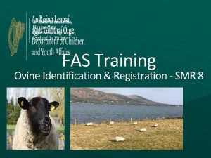 Fas registration with the dafm