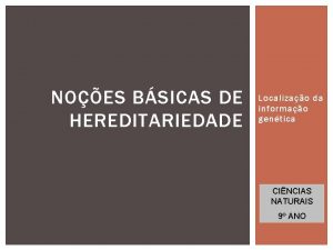 NOES BSICAS DE HEREDITARIEDADE Localizao da informao gentica